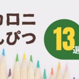 マカロニえんぴつ 人気曲