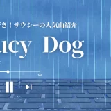 saucy-dog-song