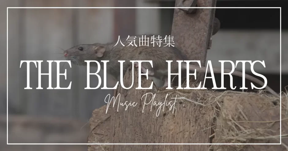 the blue hearts 曲