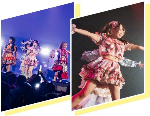 ライブ中の画像