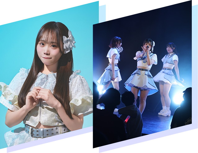 所属アイドルとライブ風景の写真